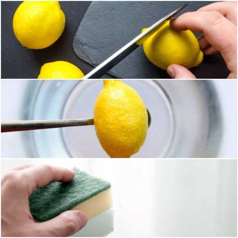 Best Way to Clean Microwave Using Water and Lemon