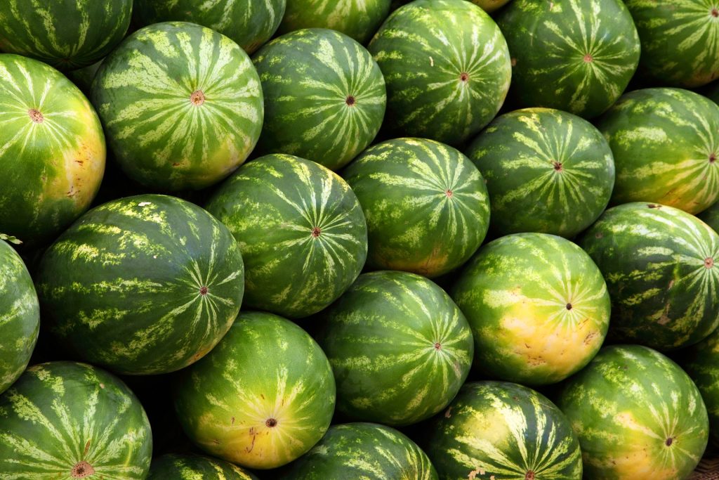 How Much Does The Average Watermelon Weigh?